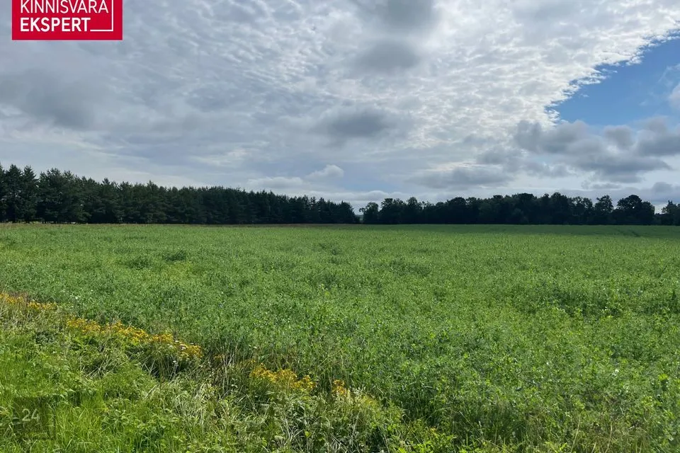 Maatulundusmaa, 14847 m² Maa - Tori vald, Rütavere küla - foto 2