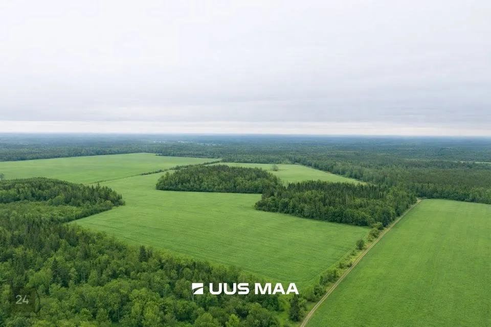 Maatulundusmaa, 101708 m² Maa  -  Saue vald, Lehetu küla - foto 3