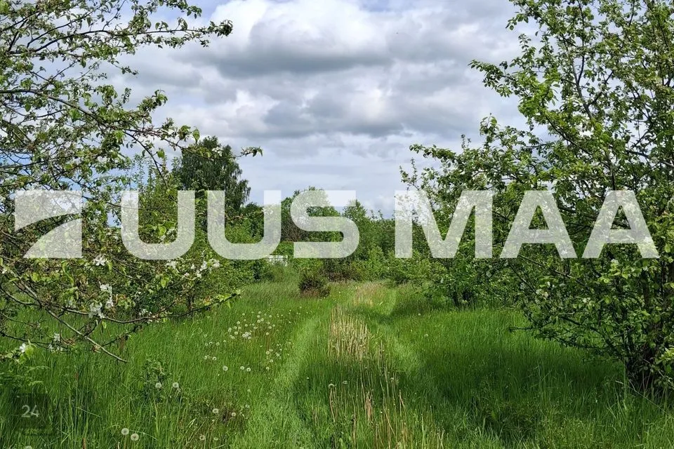 Maatulundusmaa, 14835 m² участок в Saue vald, Ruila küla - фото 2