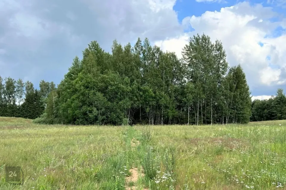 Земля жилой застройки, 13699 m² участок в Otepää vald, Ilmjärve küla - фото 5