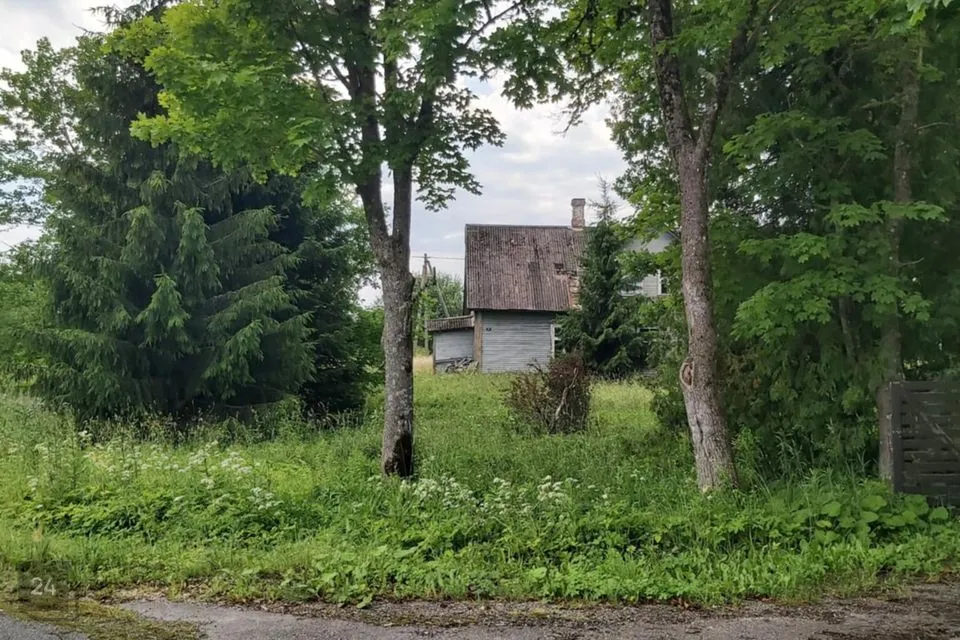 4-room house in Alutaguse vald, Kellassaare küla - photo 4