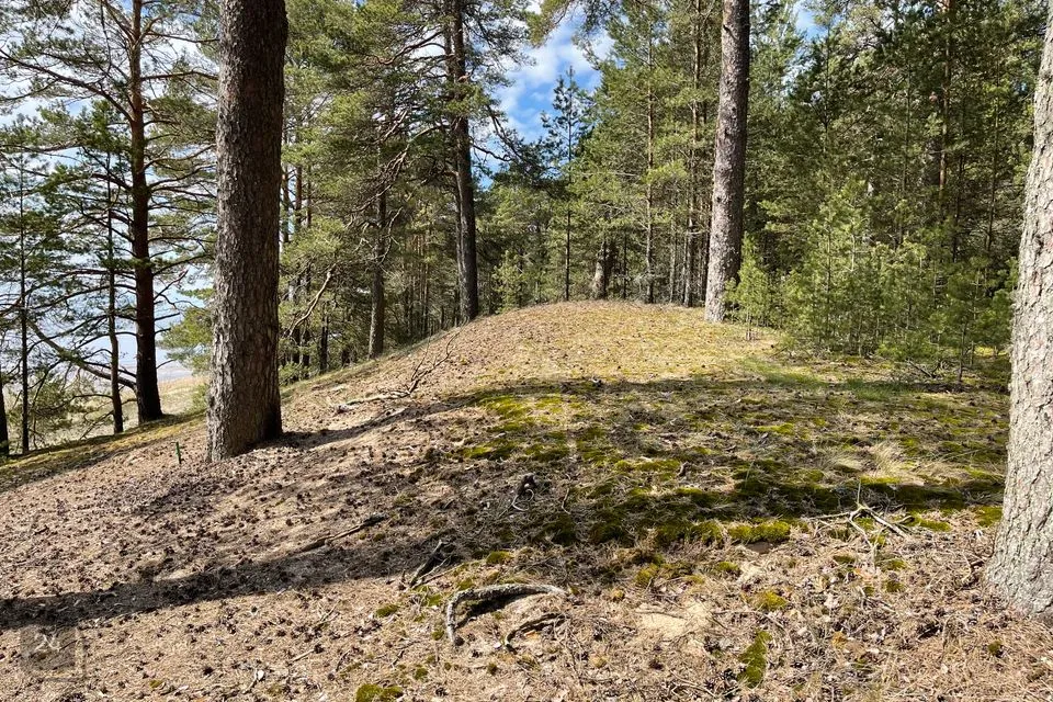 Paarismaja, 3-toaline Majaosa  -  Alutaguse vald, Katase küla - foto 2