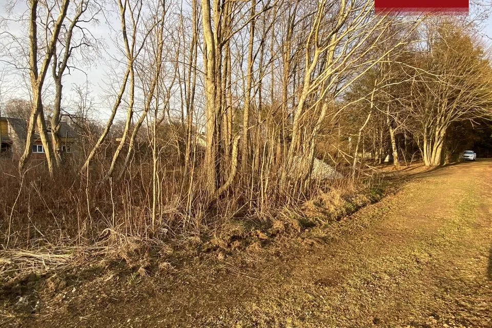 Elamumaa, 2125 m² Maa - Lüganuse vald, Moldova küla - foto 5