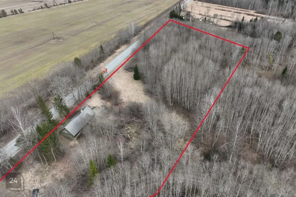 Земля жилой застройки, 5000 m² участок в Põhja-Pärnumaa vald, Viluvere küla - фото 3