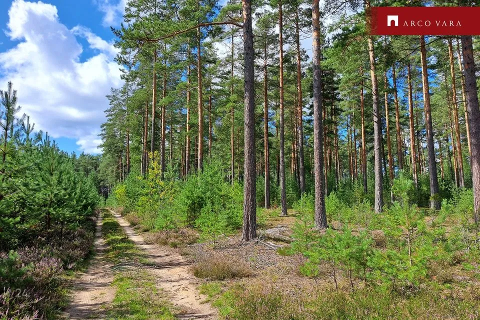 Maatulundusmaa, 34600 m² участок в Setomaa vald, Väike-Rõsna küla - фото 3