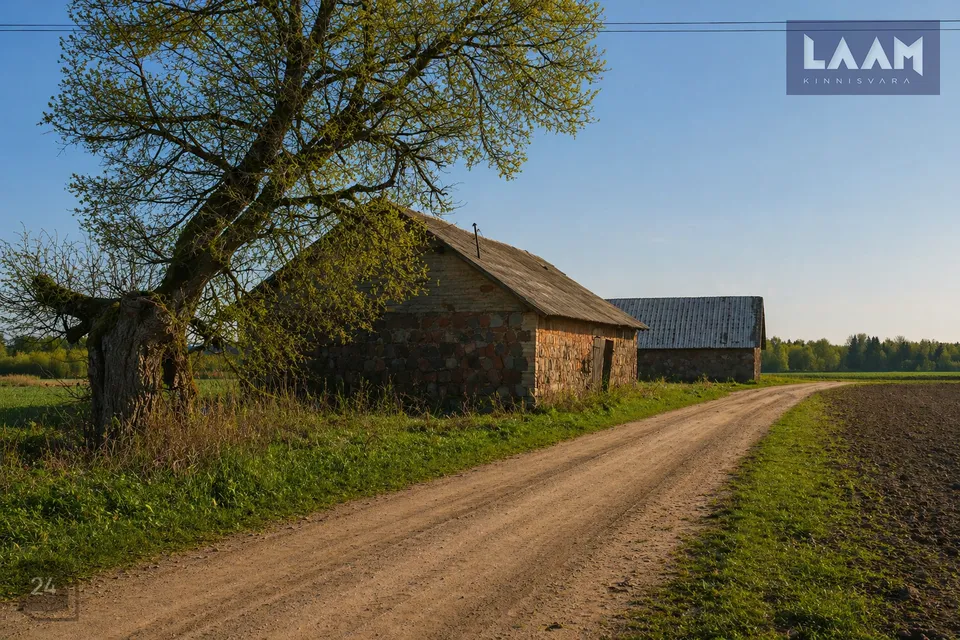 Земля производственного назначения, 11800 m² участок в Paide linn, Viisu küla