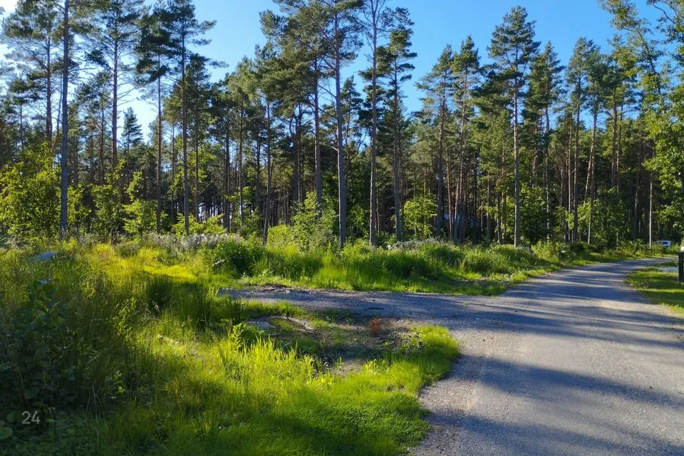 Elamumaa, 5186 m² Maa  -  Jõelähtme vald, Neeme küla - foto 4
