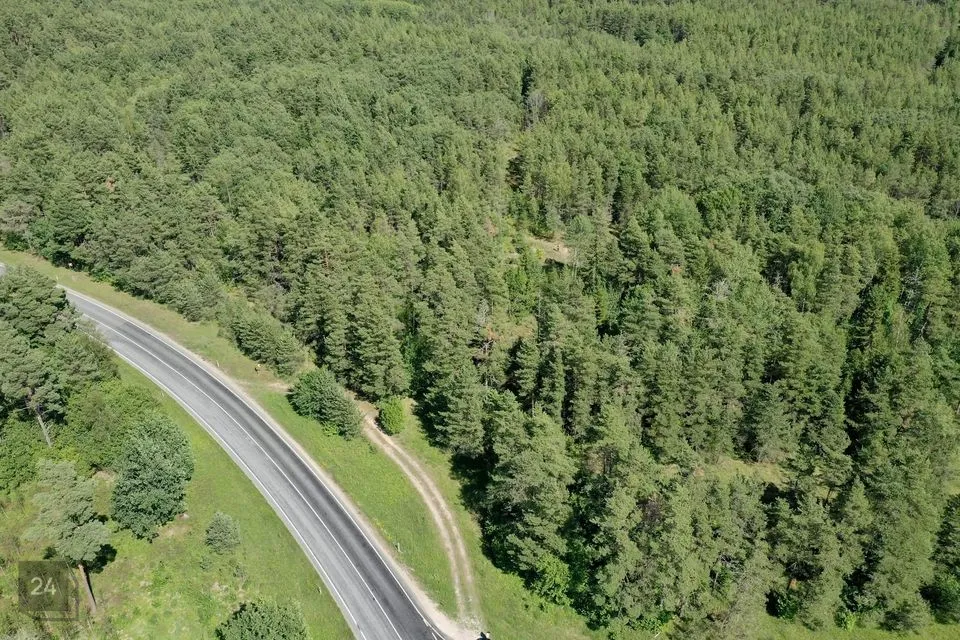 Maatulundusmaa, 19881 m² Maa  -  Saaremaa vald, Liiva-Putla küla - foto 3