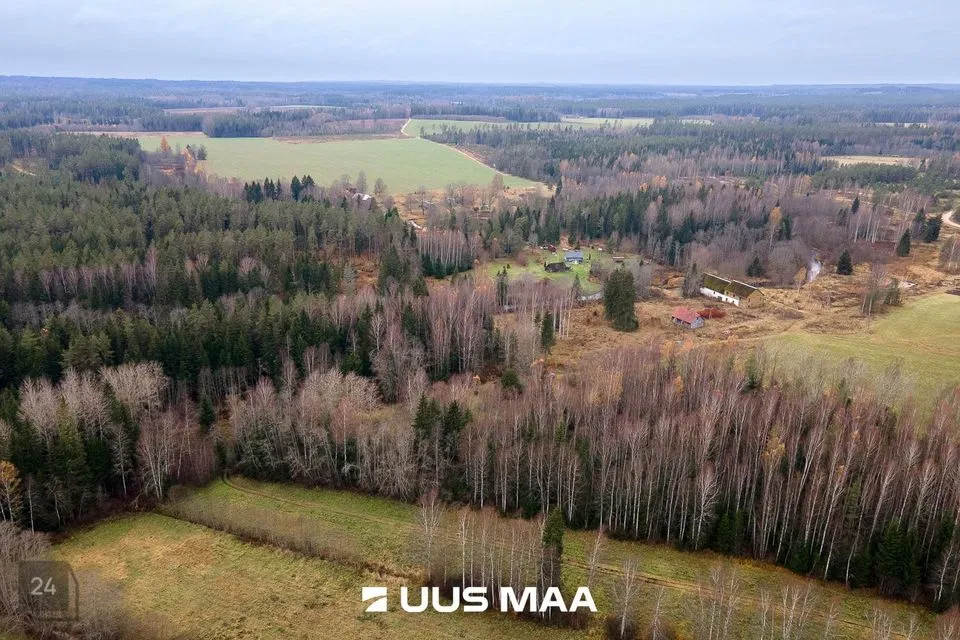 Elamumaa, 20241 m² Maa - Kanepi vald, Jõgehara küla - foto 2
