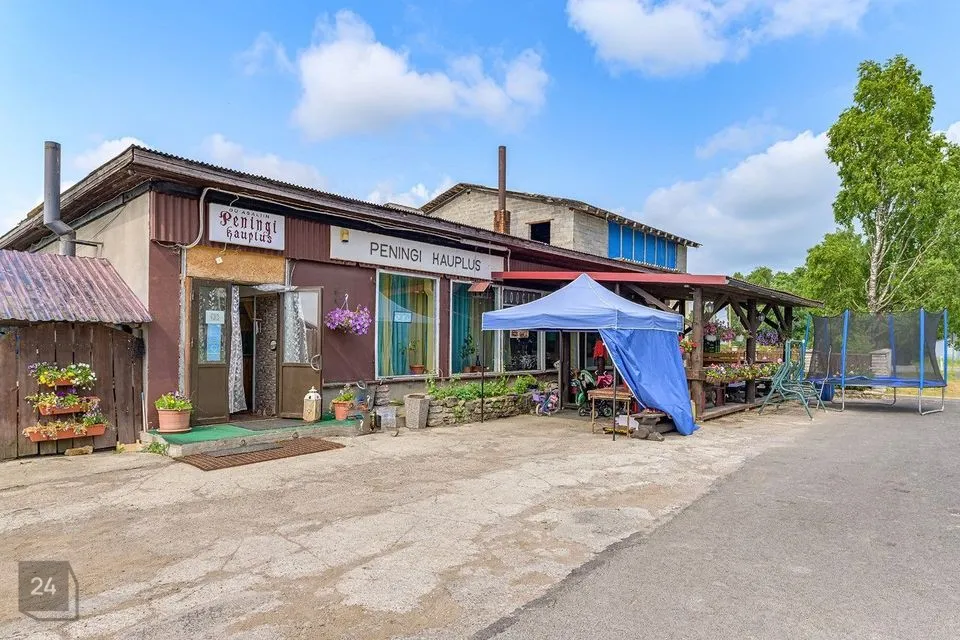 Commerce or Food, 203 m² business in Raasiku vald, Peningi küla