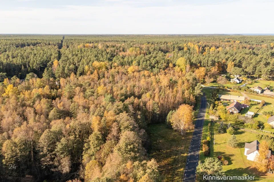 Elamumaa, 2961 m² Maa  -  Haljala vald, Pihlaspea küla - foto 4