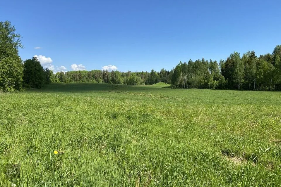Maatulundusmaa, 37776 m² участок в Põlva vald, Vooreküla - фото 2