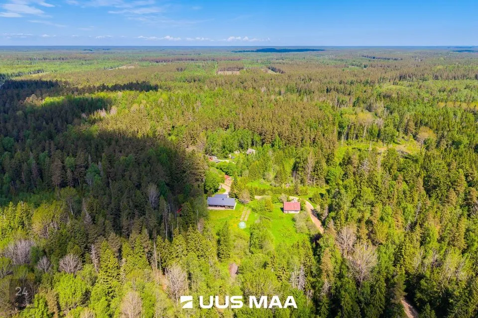 Земля жилой застройки, 11242 m² участок в Anija vald, Pillapalu küla - фото 4