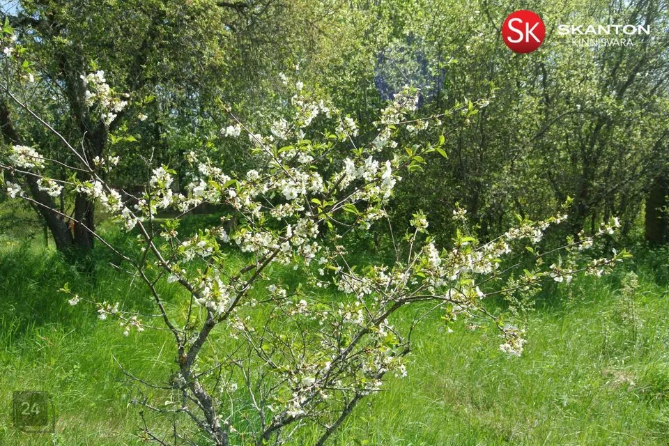 2-комнатная Дача в Haapsalu linn, Kiideva küla - фото 5