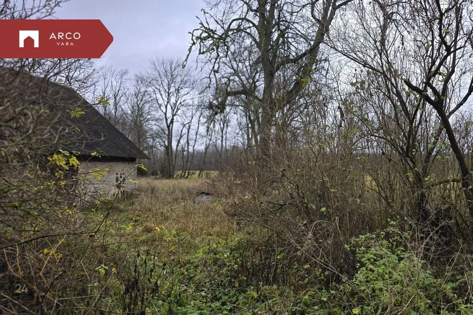 Maatulundusmaa, 135391 m² Maa  -  Lääne-Harju vald, Lehola küla - foto 3