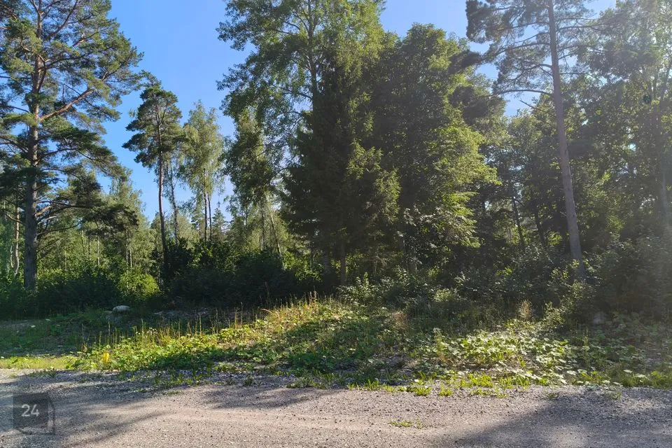 Elamumaa, 3000 m² Maa - Saaremaa vald, Upa küla - foto 3