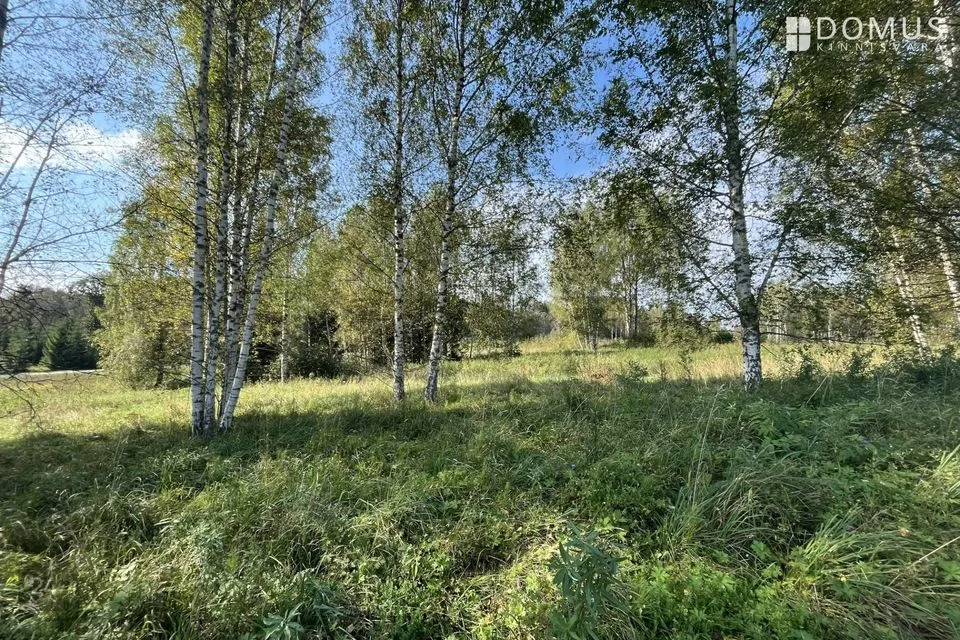 Maatulundusmaa, 46563 m² участок в Otepää vald, Pilkuse küla - фото 2