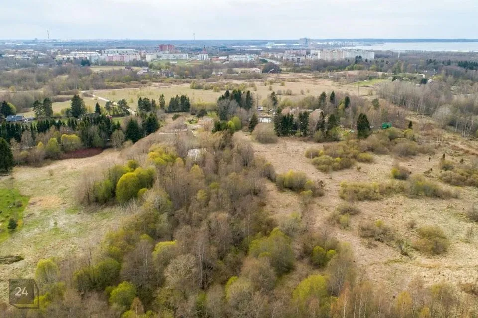 Cultivated land, 17704 m² land in Jõelähtme vald, Kallavere küla - photo 5