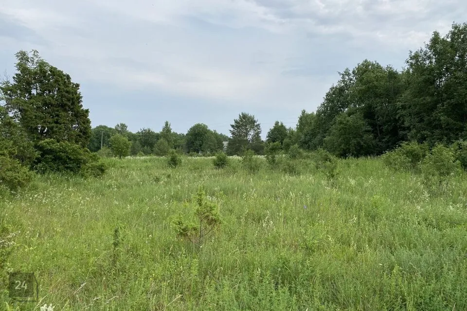 Maatulundusmaa, 10071 m² Maa  -  Haapsalu linn, Laheva küla - foto 5