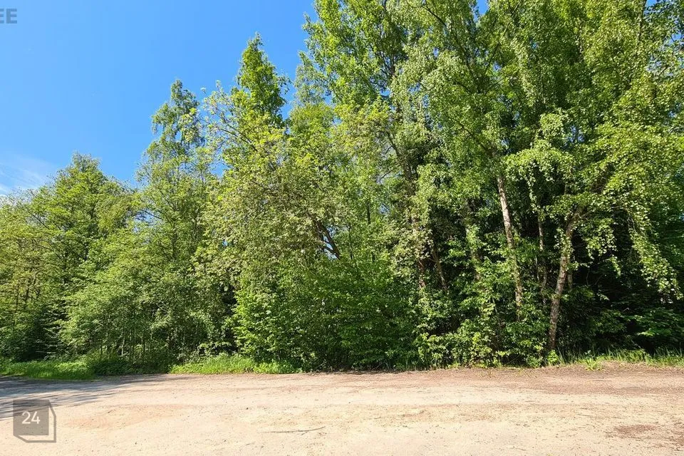 Elamumaa, 2093 m² Maa  -  Viimsi vald, Tammneeme küla - foto 4