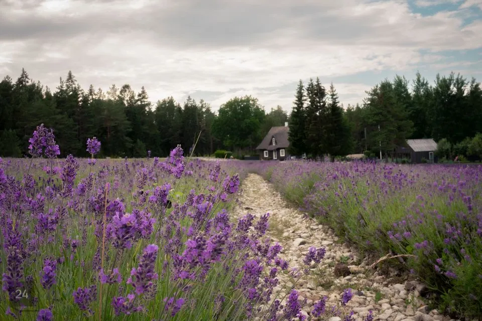 4-toaline Maja  -  Hiiumaa vald, Tubala küla - foto 4