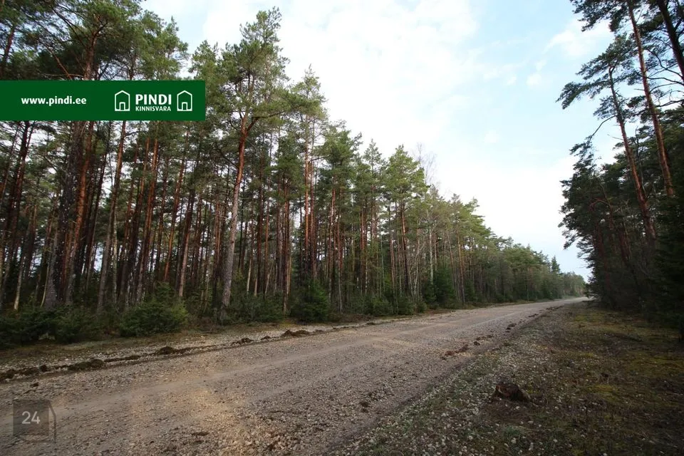 Maatulundusmaa, 12645 m² участок в Hiiumaa vald, Vahtrepa küla - фото 2
