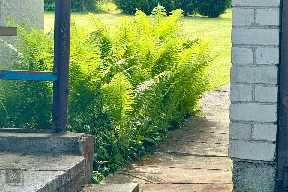 Elamumaa, 897 m² Maa  -  Tallinn, Pirita linnaosa - foto 2