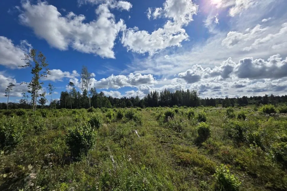 Maatulundusmaa, 42044 m² Maa - Lääne-Harju vald, Ohtu küla - foto 2