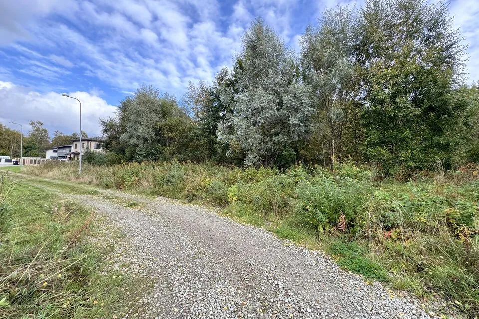 Elamumaa, 1500 m² Maa - Jõelähtme vald, Kallavere küla - foto 4