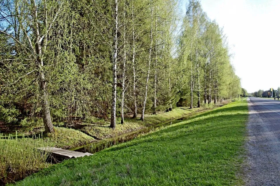 Земля социального назначения - земля общего назначения, 6010 m² участок в Tori vald, Sindi linn - фото 4