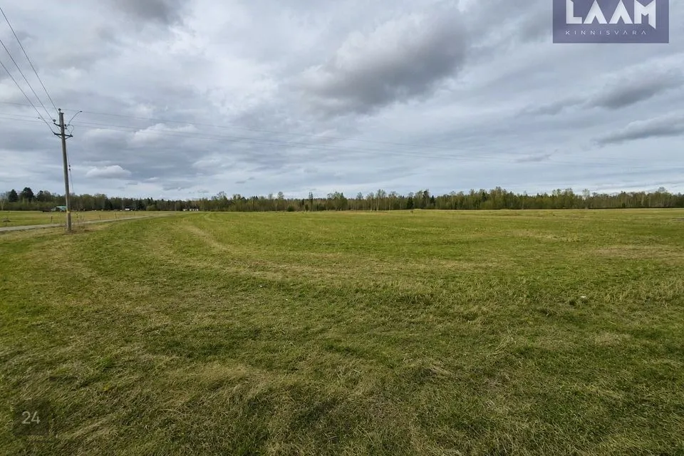 Maatulundusmaa, 20002 m² участок в Lääne-Harju vald, Lohusalu küla - фото 2