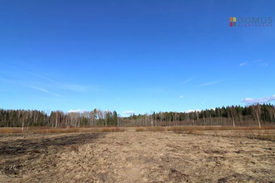 Maatulundusmaa, 81118 m² участок в Türi vald, Änari küla
