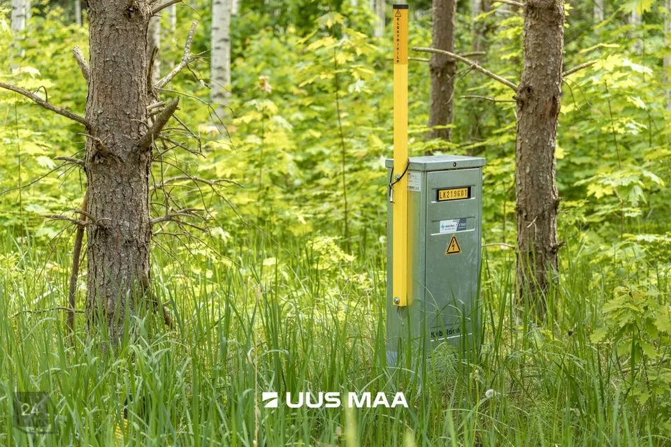 Maatulundusmaa, 36938 m² участок в Põlva vald, Mõtsküla - фото 4