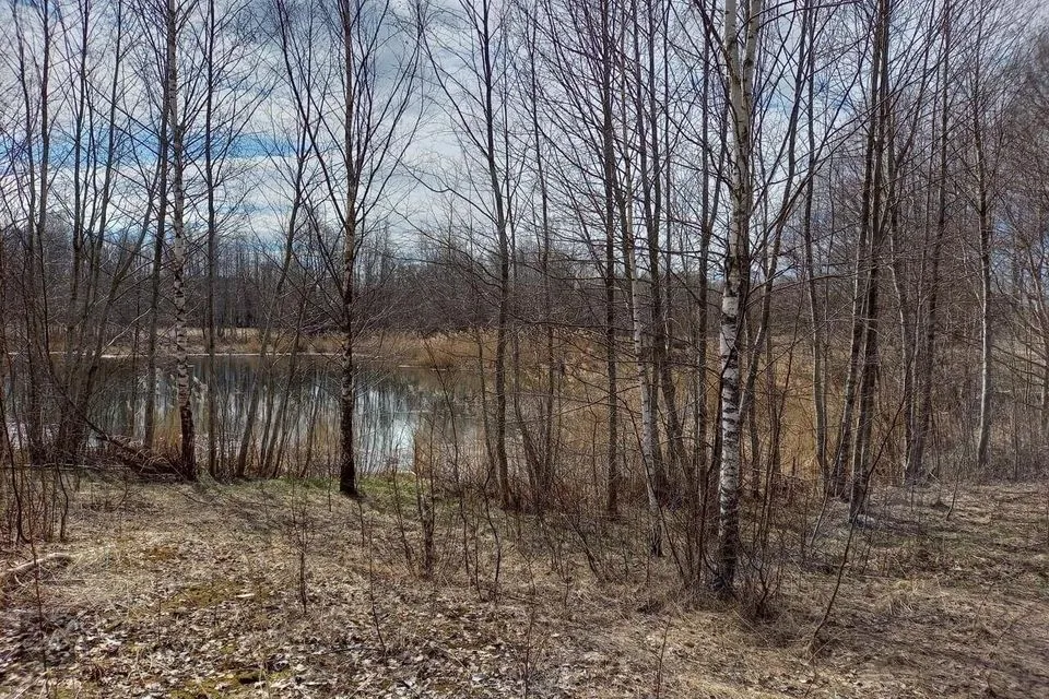 Sotsiaalmaa - üldkasutatav maa või Veekogude maa, 73800 m² Maa - Elva vald, Teilma küla - foto 5