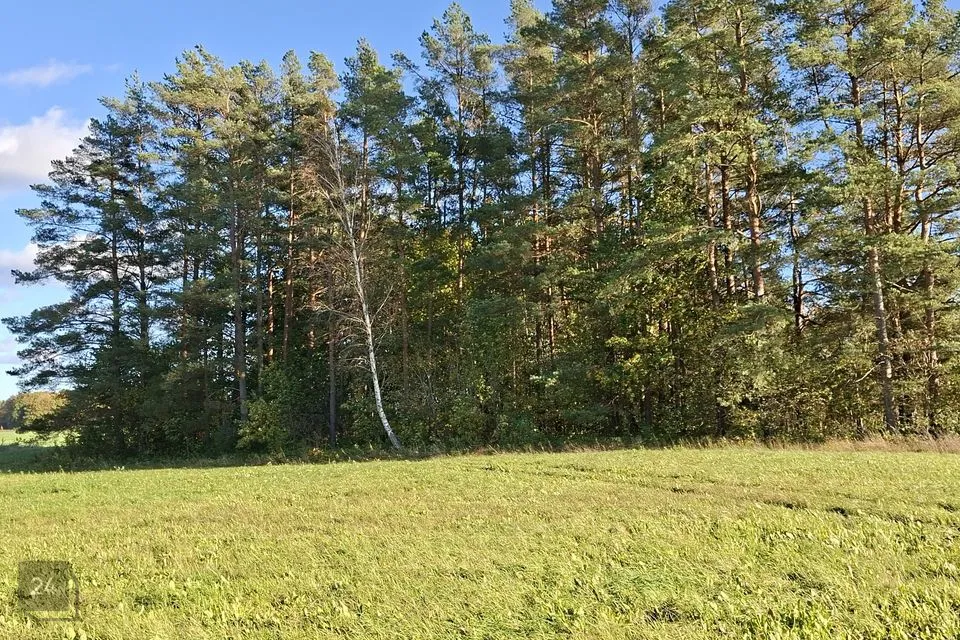 Maatulundusmaa, 21263 m² Maa  -  Lääne-Nigula vald, Uugla küla - foto 4