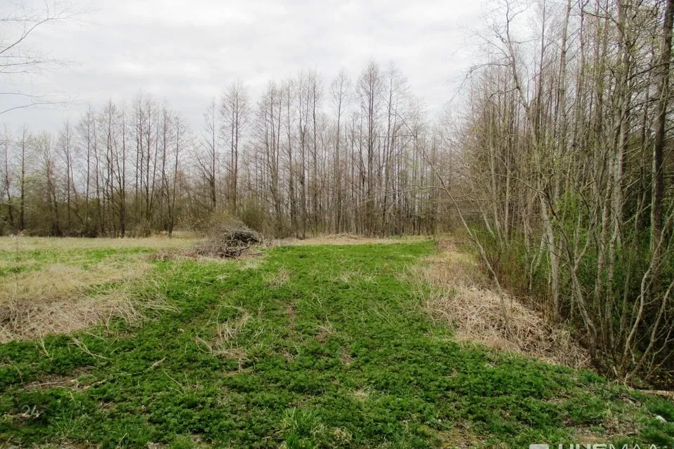 Maatulundusmaa, 99200 m² участок в Pärnu linn, Kabriste küla - фото 4