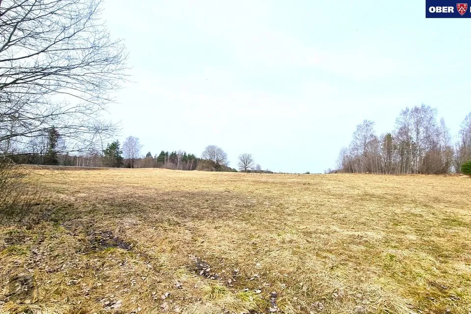 Maatulundusmaa, 100700 m² участок в Saue vald, Maidla küla - фото 2