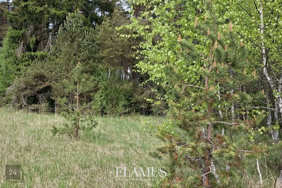 Земля жилой застройки, 4504 m² участок в Lääne-Nigula vald, Paslepa küla / Pasklep - фото 4