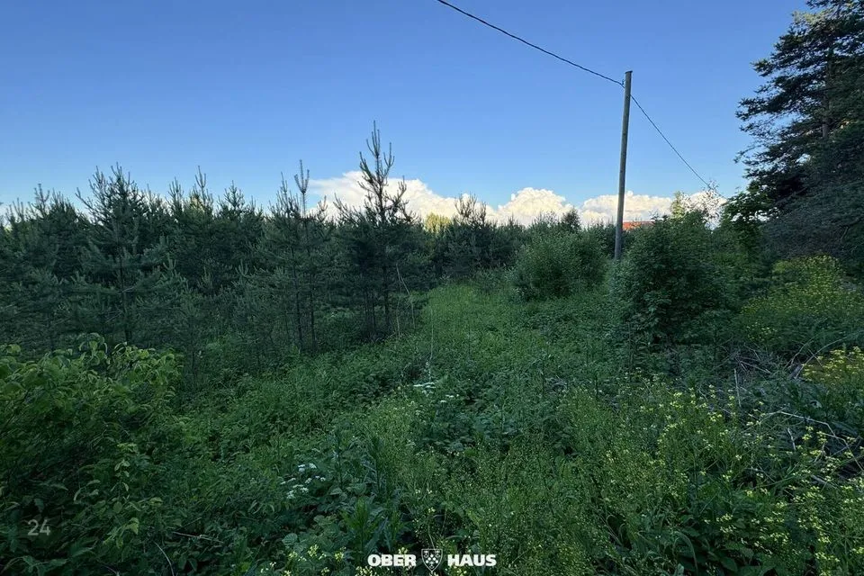 Elamumaa, 7367 m² Maa  -  Raasiku vald, Aruküla alevik - foto 5