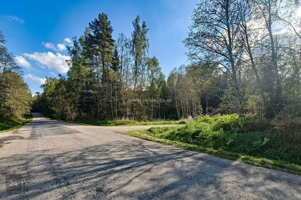 Maatulundusmaa, 58809 m² Maa  -  Otepää vald, Sihva küla - foto 2