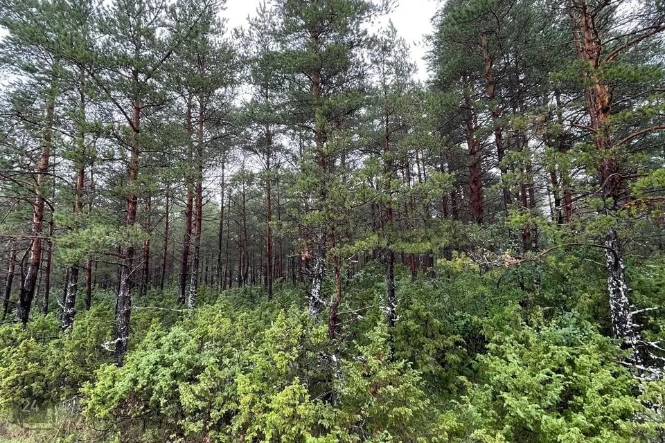 Maatulundusmaa, 21700 m² Maa - Muhu vald, Kuivastu küla - foto 2