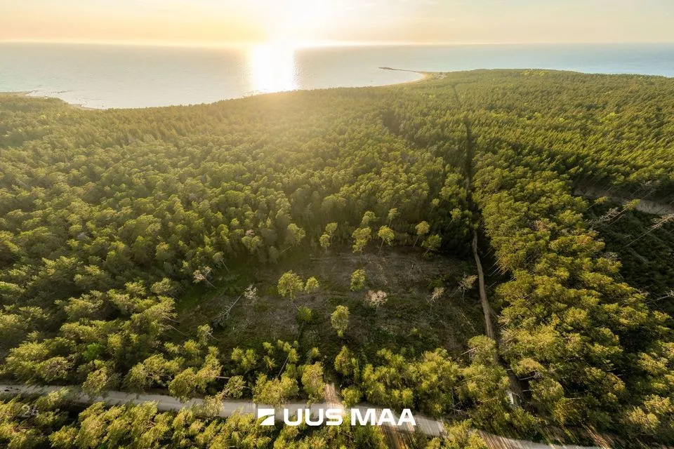 Elamumaa, 10900 m² Maa  -  Hiiumaa vald, Kalana küla - foto 2