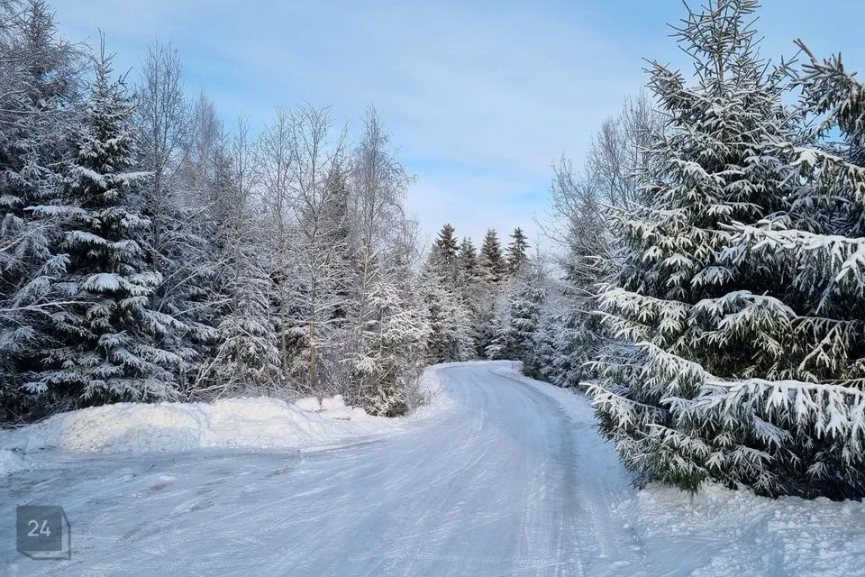 16097 m² Maa  -  Jõgeva vald, Vana-Jõgeva küla - foto 2