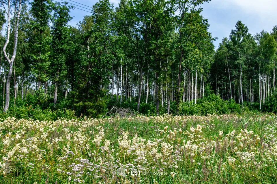 Maatulundusmaa, 10159 m² участок в Lääneranna vald, Rädi küla