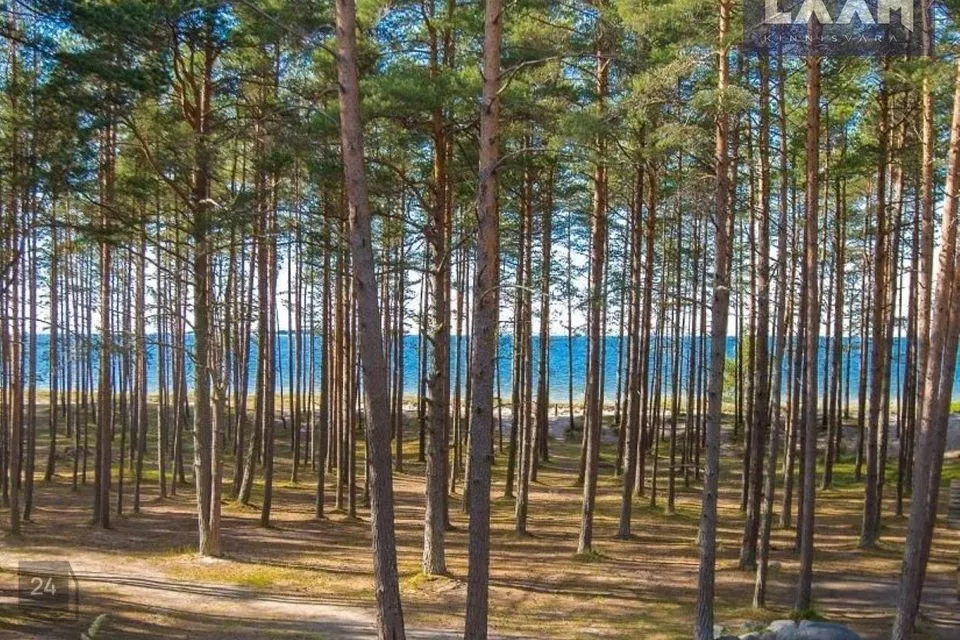 Elamumaa, 2999 m² Maa - Kuusalu vald, Salmistu küla - foto 2