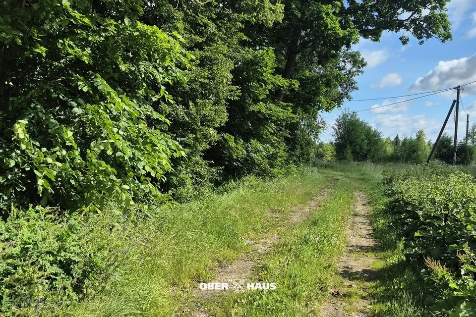 8234 m² Äripind - Kirepi küla - foto 4