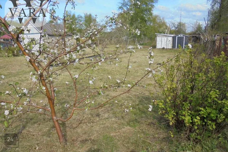 3-toaline Suvila  -  Jõelähtme vald, Kallavere küla - foto 3