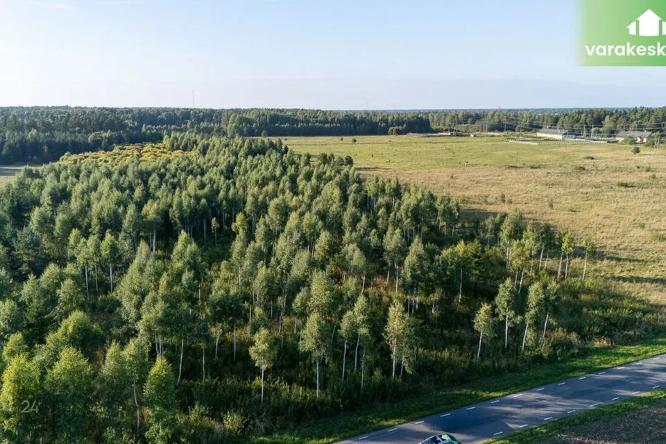 Maatulundusmaa, 67371 m² Maa - Kohila vald, Rootsi küla - foto 2