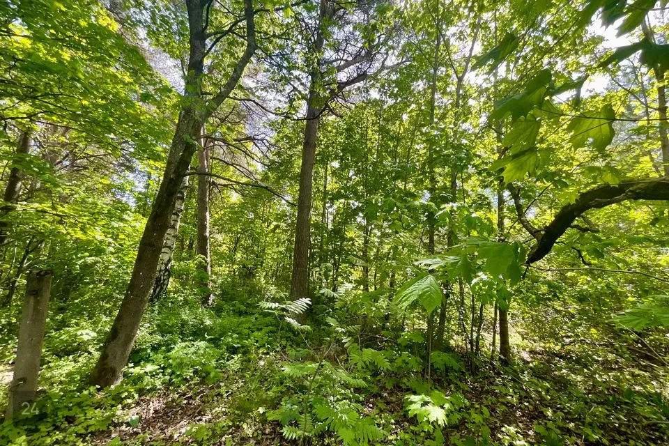 Земля жилой застройки, 1444 m² участок в Tallinn, Nõmme linnaosa - фото 4