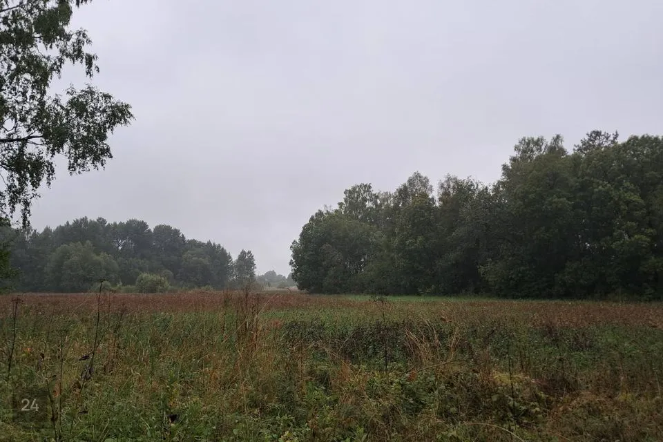 Maatulundusmaa, 59400 m² участок в Saaremaa vald, Randvere küla